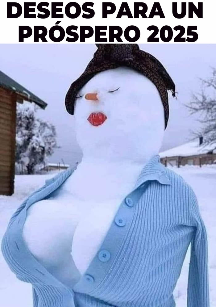 Fotos para saludos divertidos 2025. Un hermoso muñeco de nieve con senos prósperos
