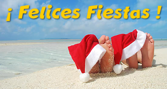 imagen alegre ¡con el sombrero de Papá Noel descansando sobre dos pies mojados que están en la playa junto al mar!