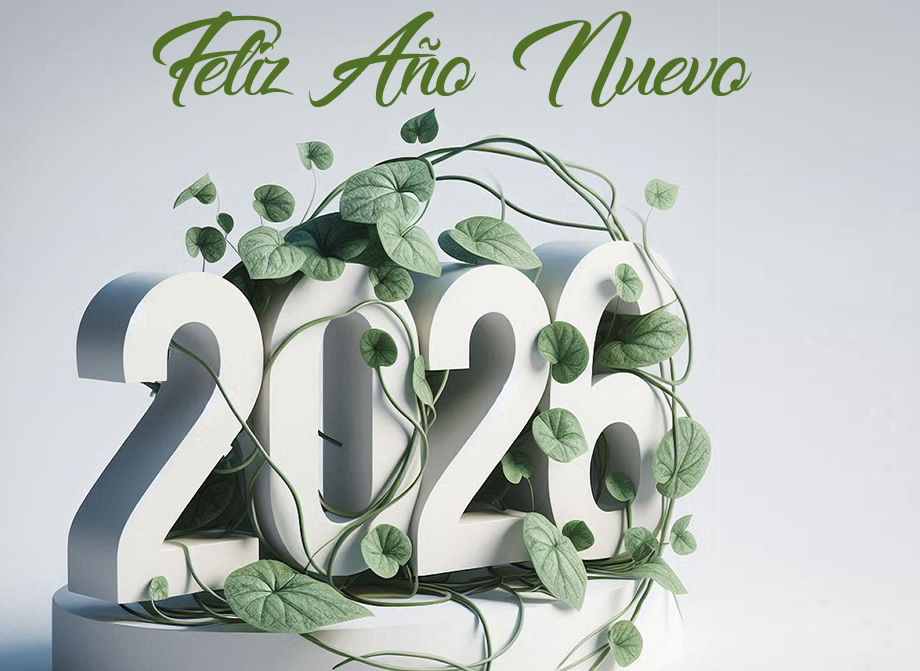 Mis mejores deseos 2026 gratis