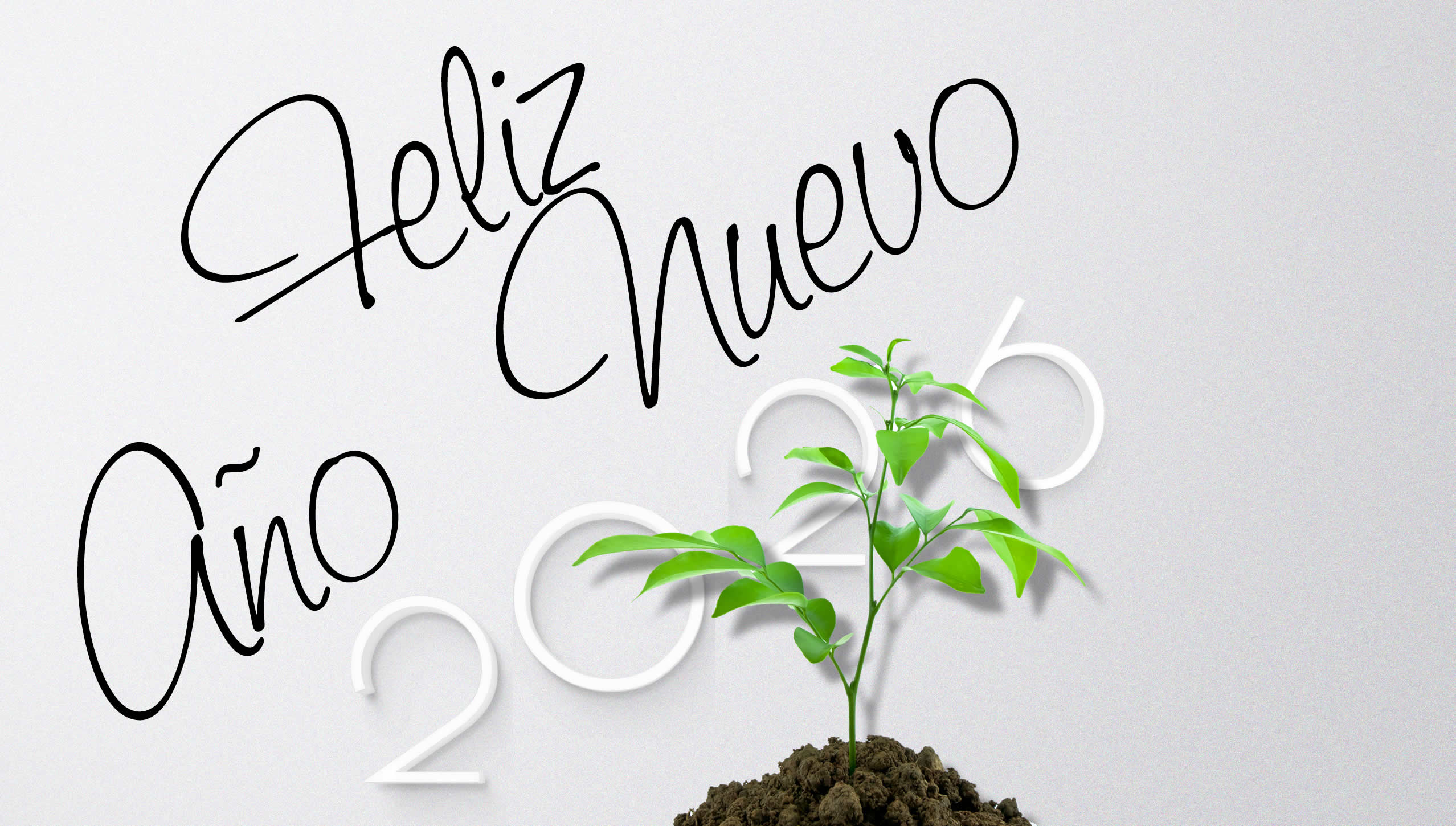 Feliz año nuevo 2026 foto con montón de tierra con plántula verde