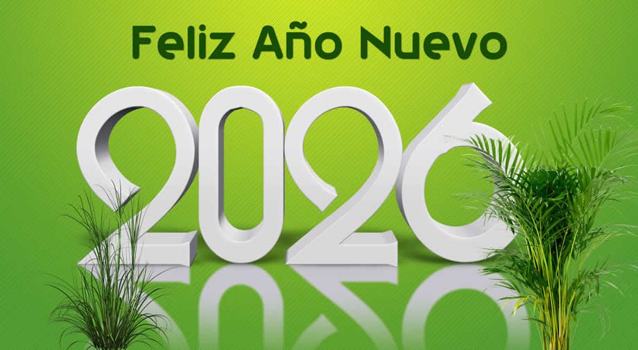 Imagen con 2026 en 3D con reflejo sobre fondo verde