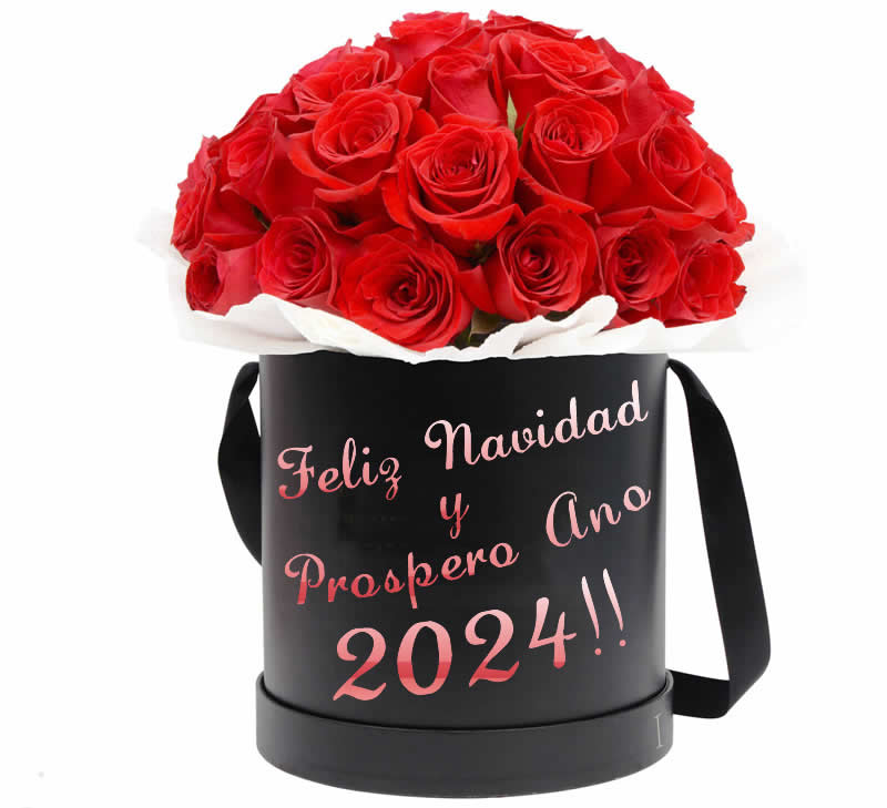 Imagen con un hermoso ramo de rosas rojas en un elegante paquete negro.