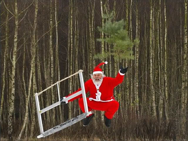 Una foto divertida con Papá Noel que corta un árbol de Navidad y salta de alegría