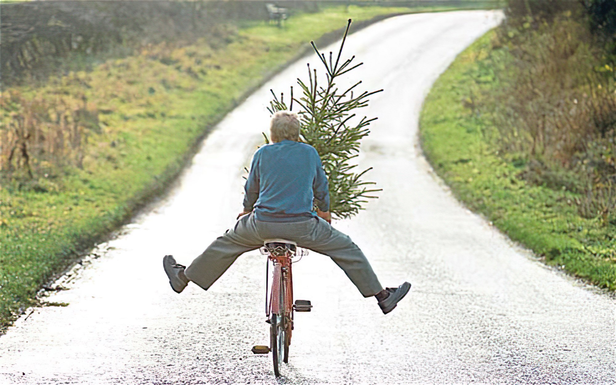 Imagen divertida con el hombre en una bicicleta cargando un árbol de Navidad con las piernas extendidas. ¡Pista parece estar gritando! ¡Se acerca la Navidad!